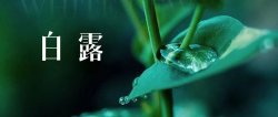 二十四节气白露——小露珠奇遇记